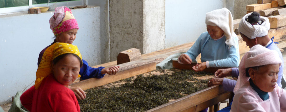 Pu-Erh -