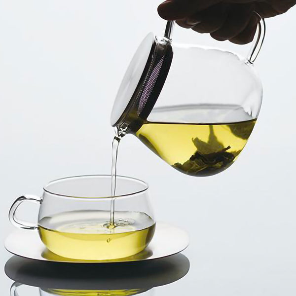 Set di vaso di vetro terrario | Vettore Gratis Set di vaso di vetro terrario | Vettore Gratis