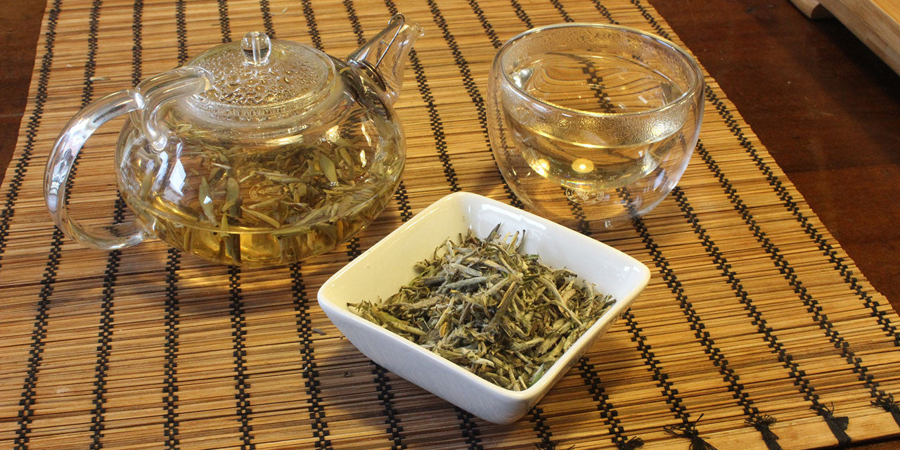 Tasting Silver Needle White Tea