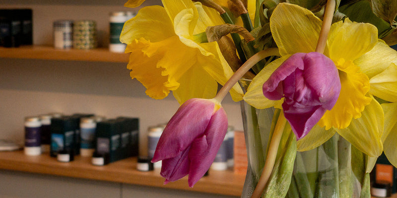 Why Spring Tea Is So Good