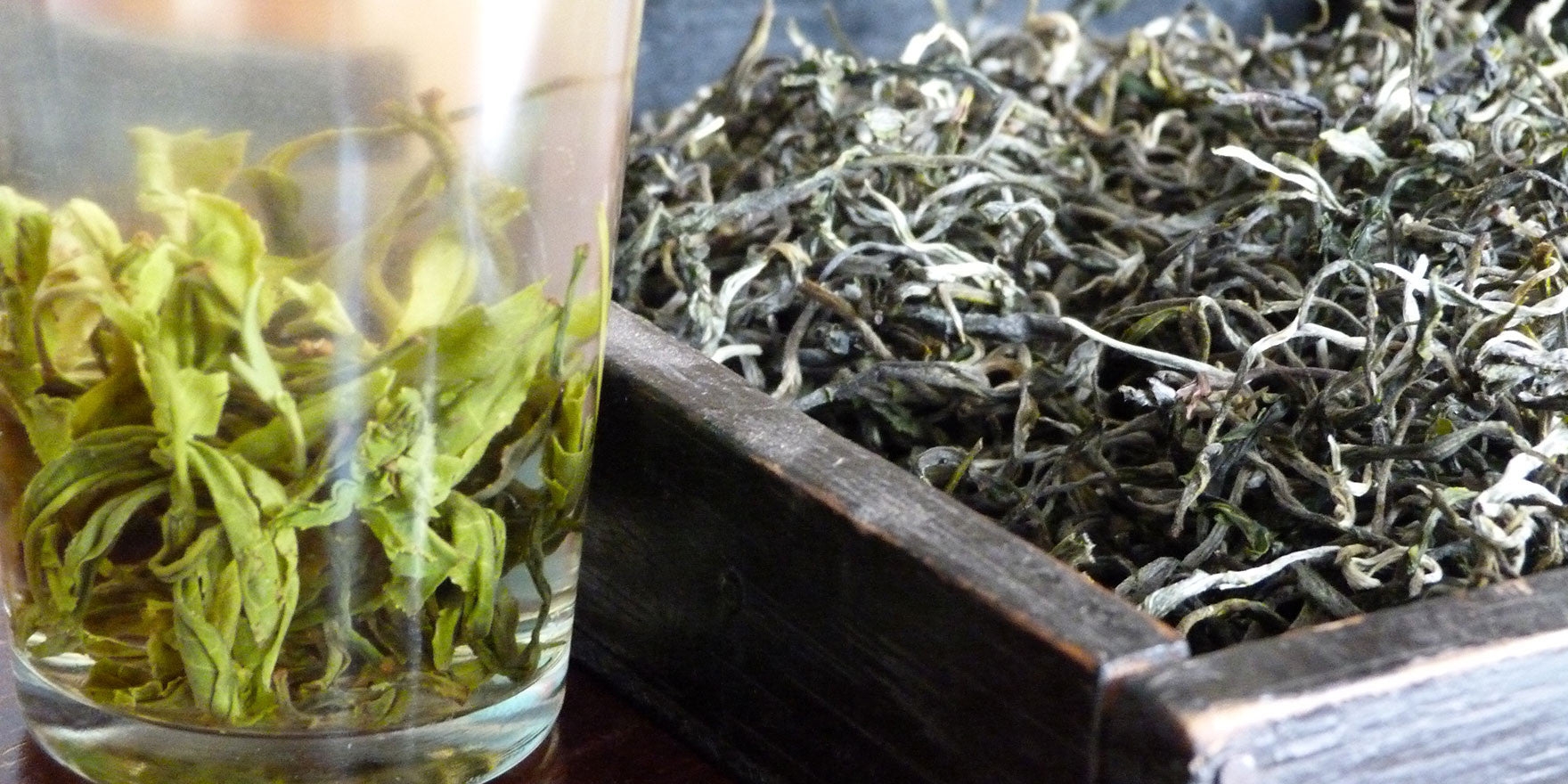 Yunnan Green Tea Production