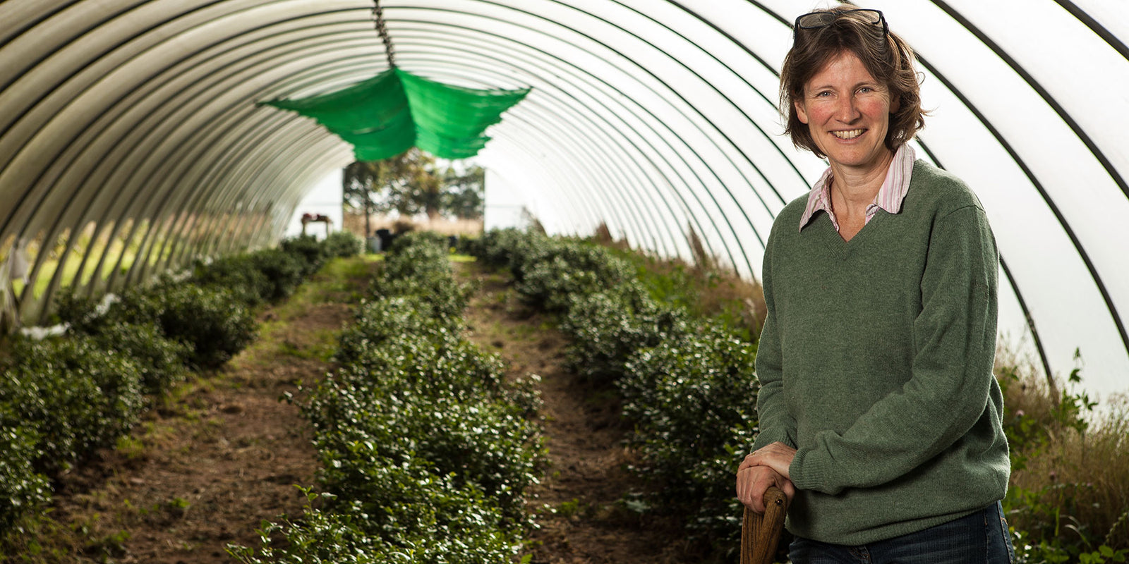 PekoeTea Edinburgh Susie Walker Munro - Kinnettles Tea Estate