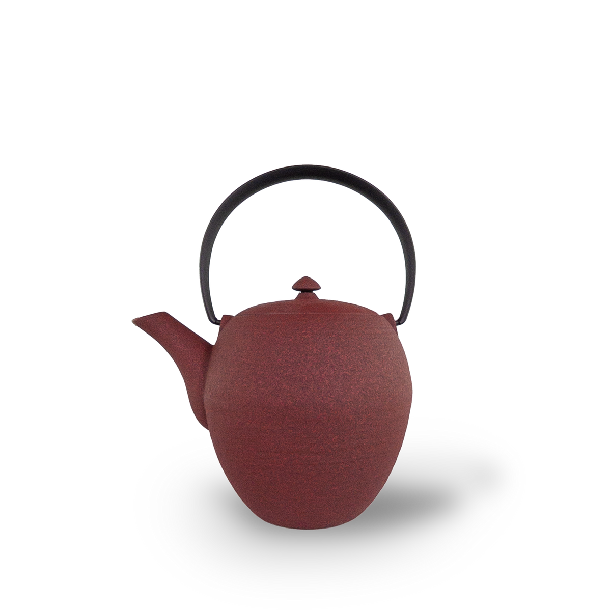 Wazuqu Mayu 550ml Cast-Iron Teapot