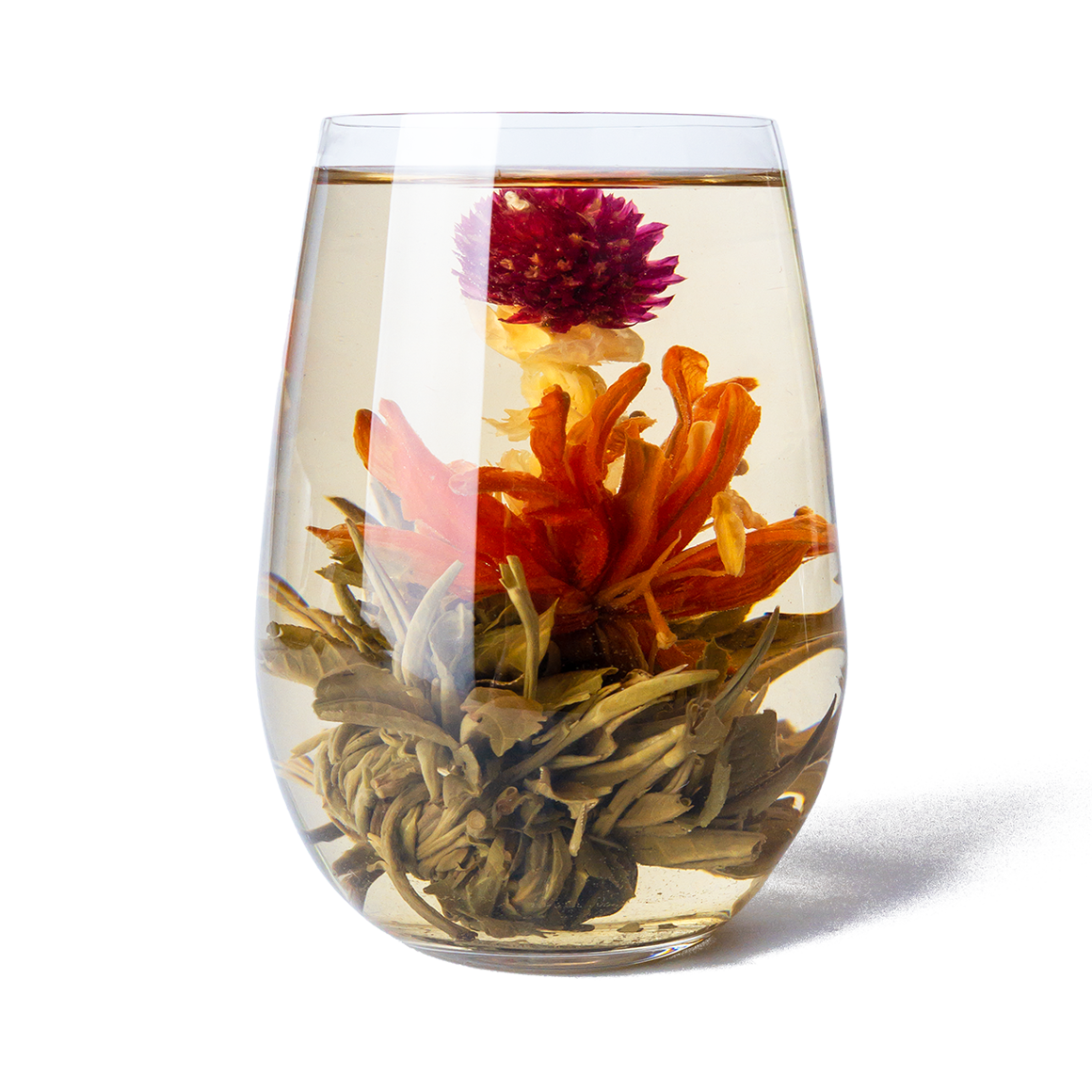 PekoeTea Edinburgh Divine Lily Blooming Flowering tea in a glass