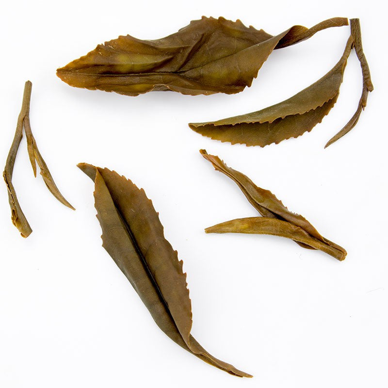 Kinnettles Gold Scottish Grown Tea - PekoeTea Edinburgh